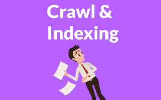 Improved Crawling & Indexing