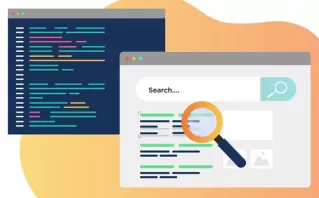 Structured Data & Schema Markup