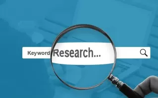 SEO in Multiple Locations In Delhi, India