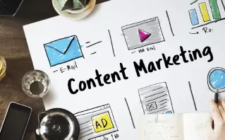 State Wise SEO In Delhi, India