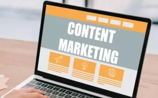 State Wise SEO In Delhi, India