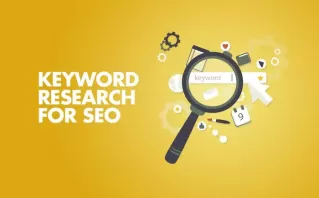 Country wise SEO In Delhi, India