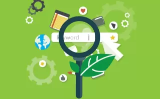 eCommerce SEO In Delhi, India