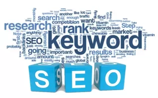 SEO for Pharmaceuticals Business In Delhi, India