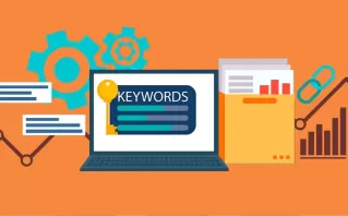 Service Provider SEO In Delhi, India