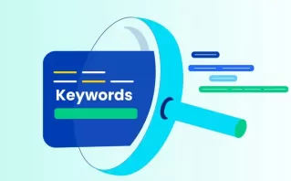 SEO for Packaging Machines In Delhi, India