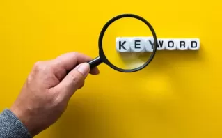 SEO for Chemicals In Delhi, India