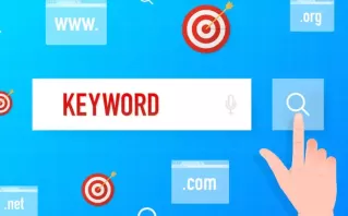 SEO for Industrial Plant And Machinery In Delhi, India