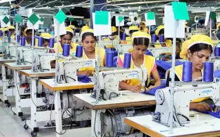 Tailored Industry Strategies