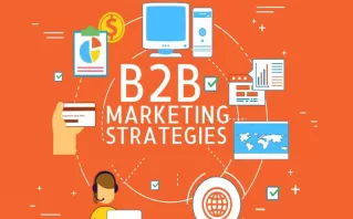 Tailored B2B Strategy Development