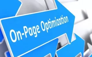 Customised On-Page Optimization