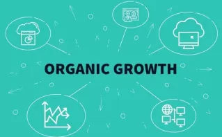 Sustainable Organic Growth